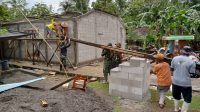 IMG-20251026-WA0007