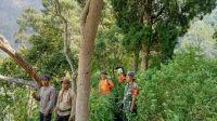 IMG-20260704-WA0025