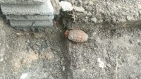 IMG-20260707-WA0011