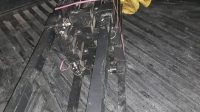 IMG-20260823-WA0061